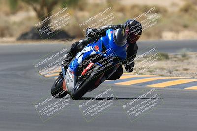 media/May-14-2023-SoCal Trackdays (Sun) [[024eb53b40]]/Turn 5 Tree of Life (1125am)/